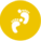 服務(wù)體制
